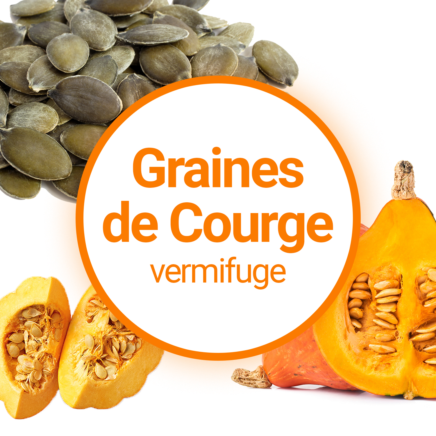 Les Graines de Courge sont-elles vermifuges ?