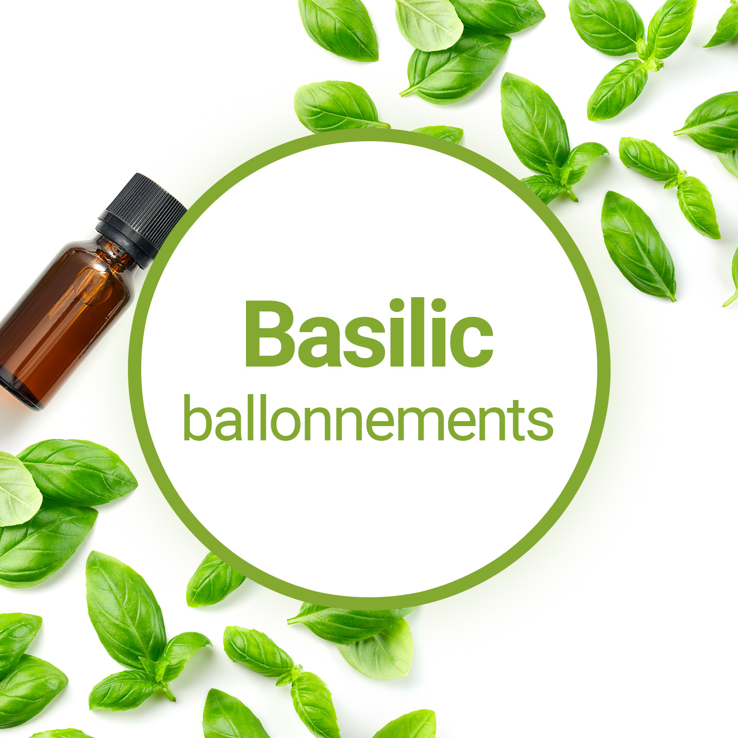Comment utiliser l'huile essentielle de Basilic contre les ...