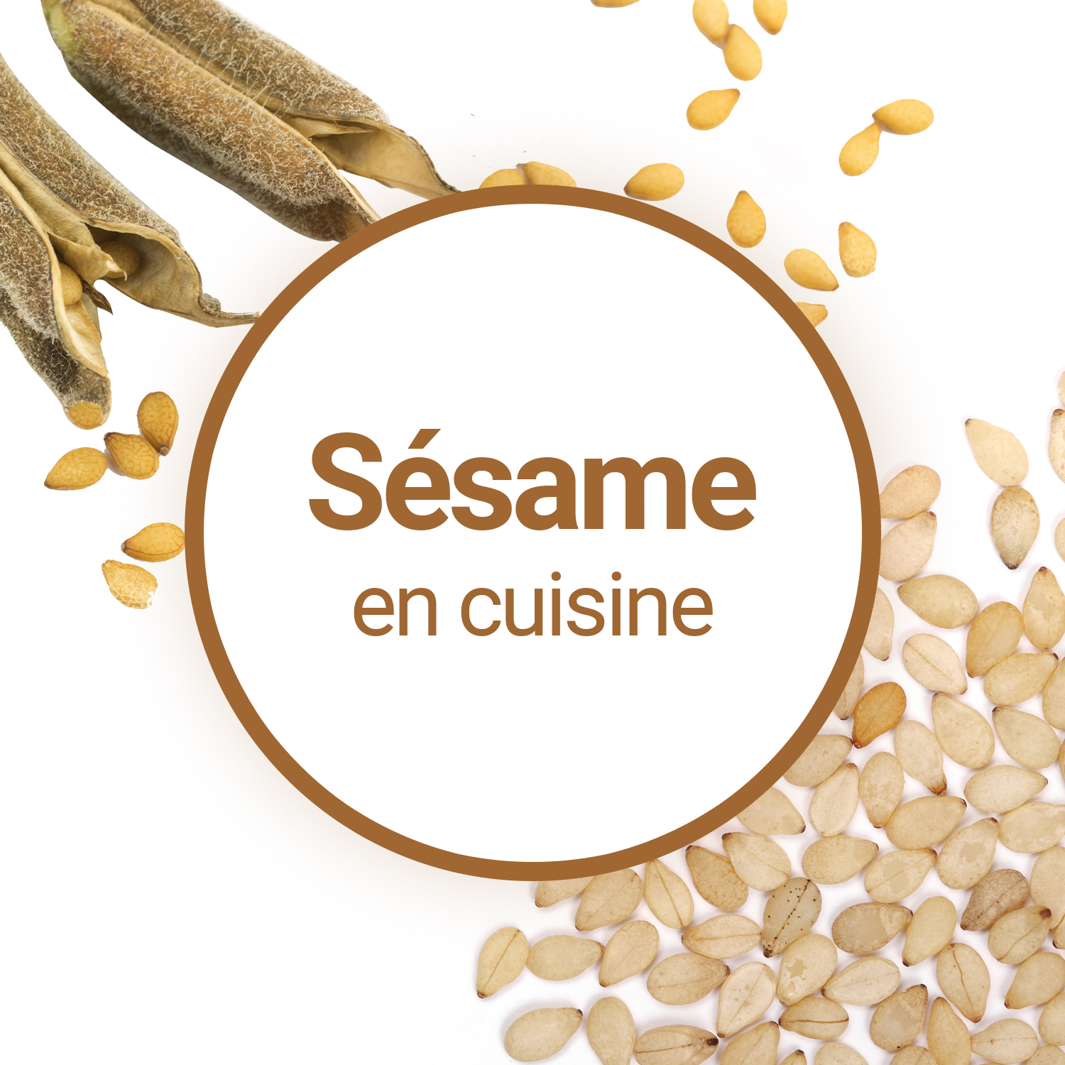 Quel est l'intérêt de l'huile de Sésame en cuisine ?