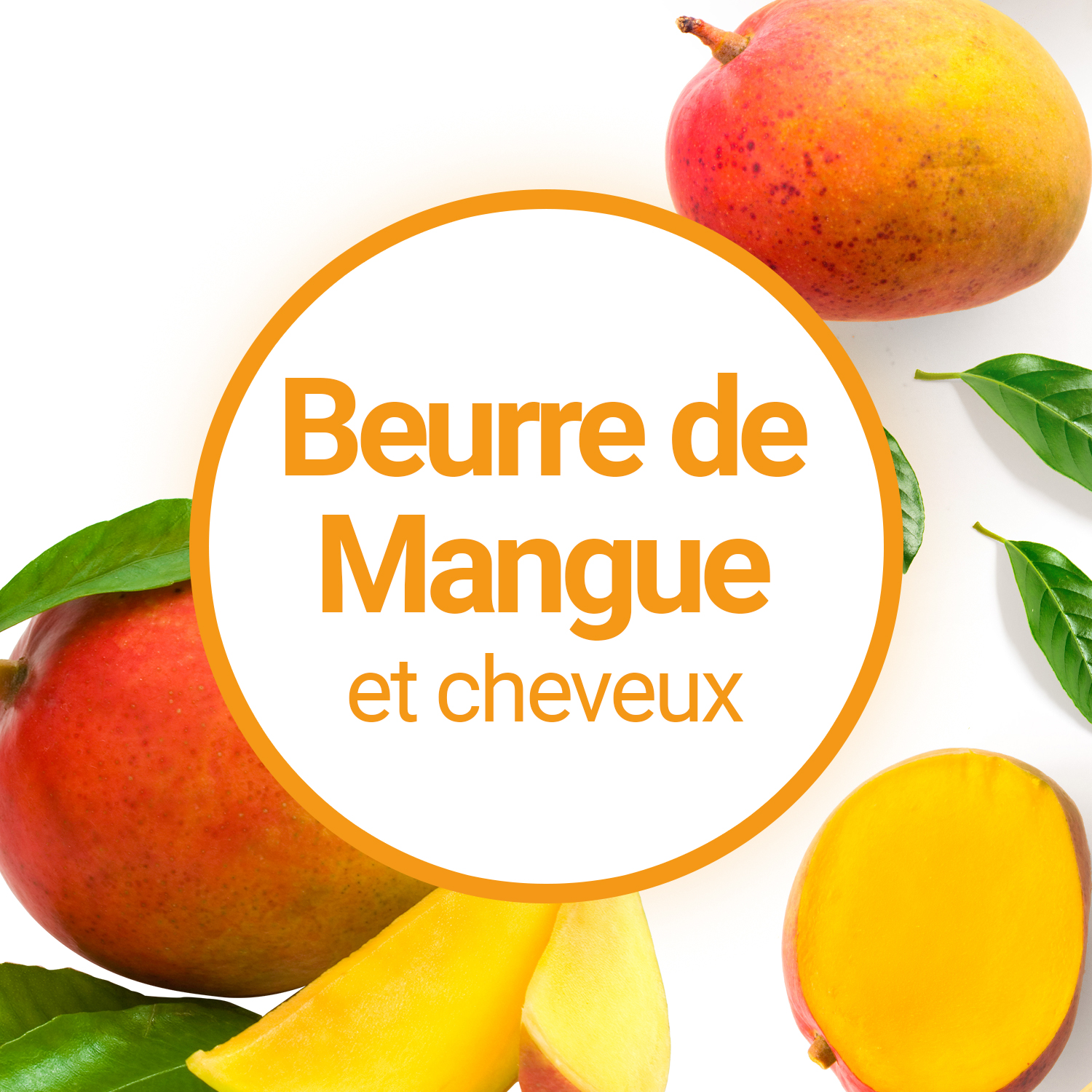 Comment utiliser le beurre de mangue sur les cheveux ?