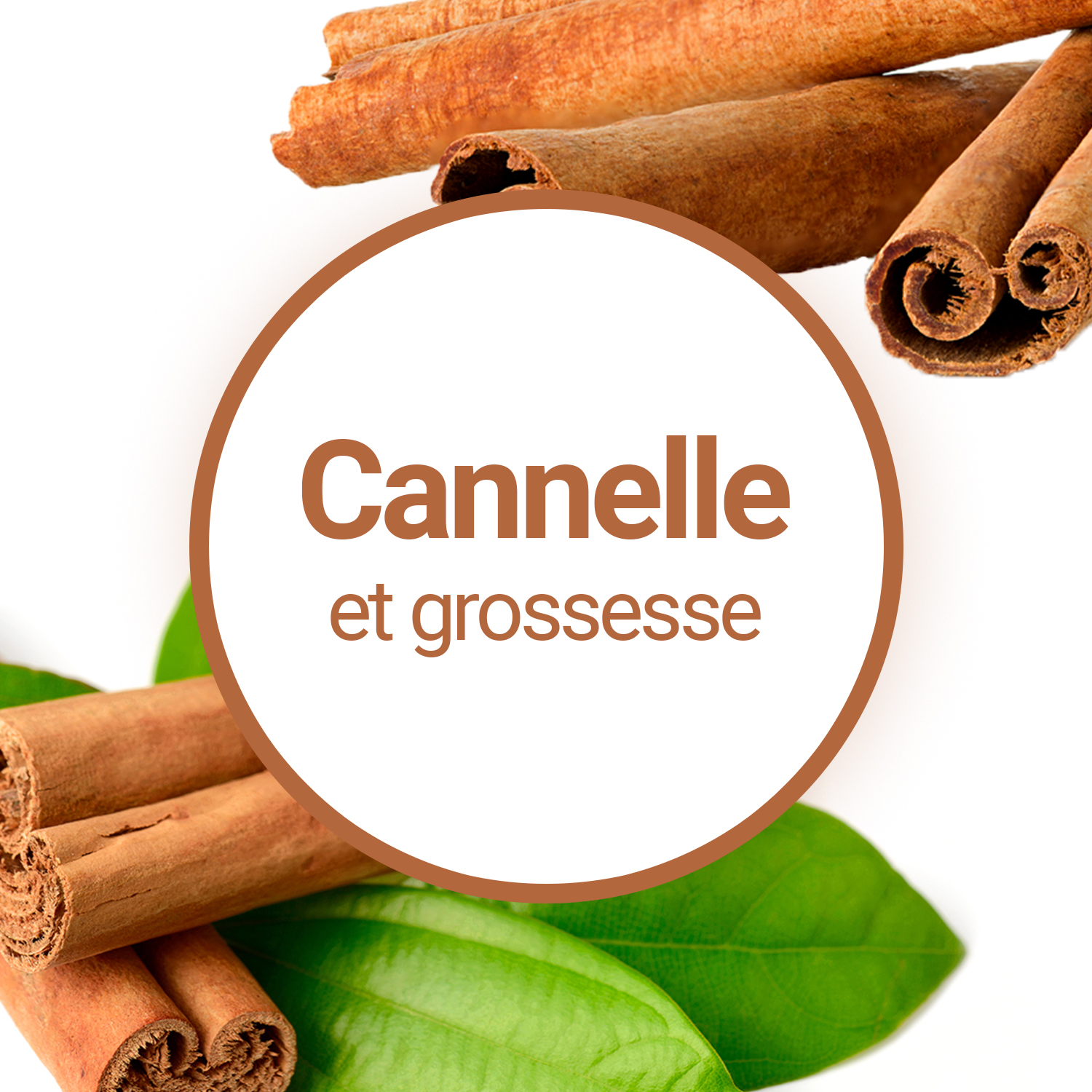 Peut-on consommer de la Cannelle en poudre lorsqu'on est enceinte ?