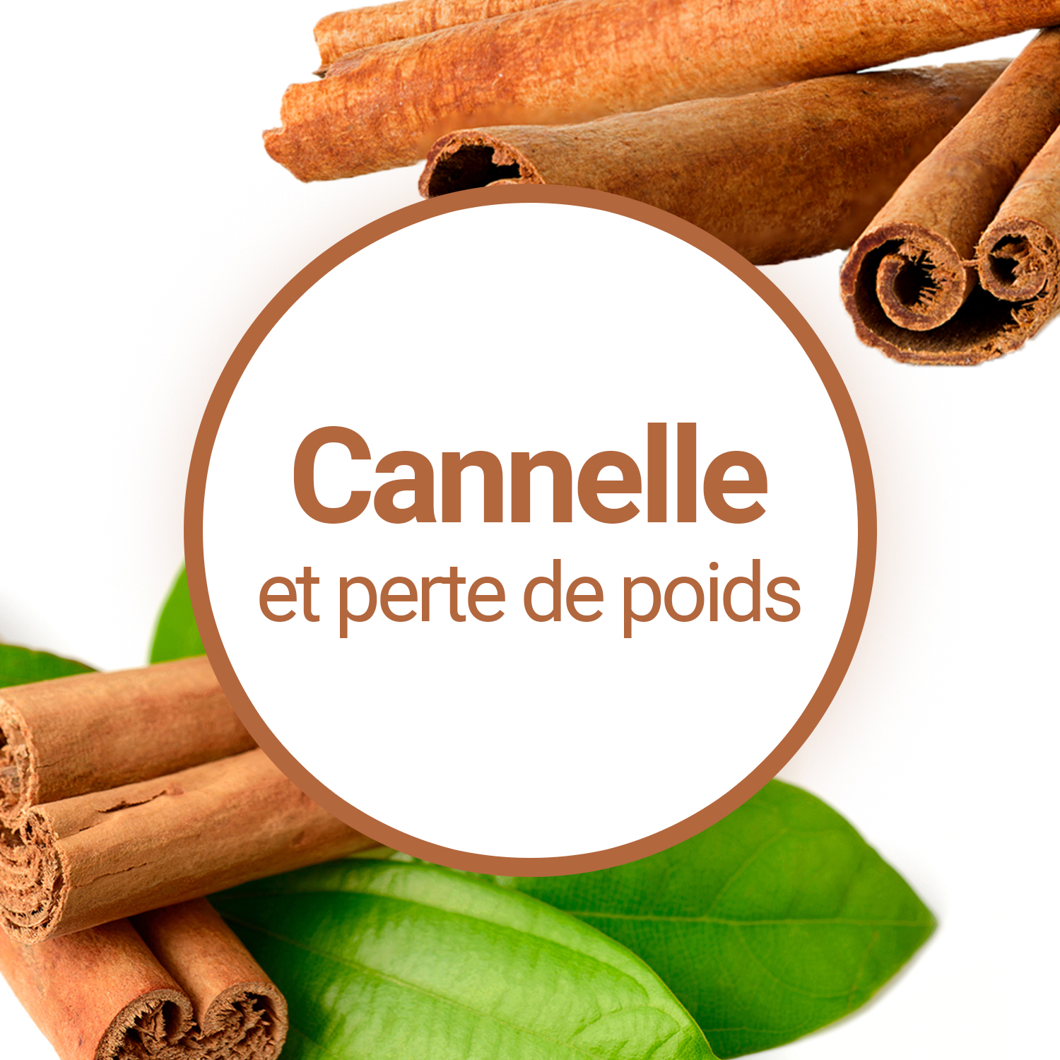 Cannelle : bienfaits et vertus pour la santé