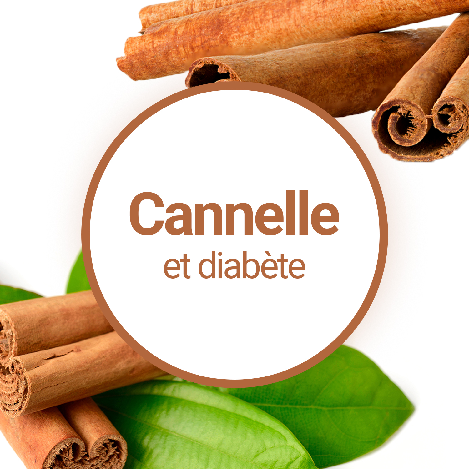 Quels sont les réels bienfaits de la Cannelle en poudre ?