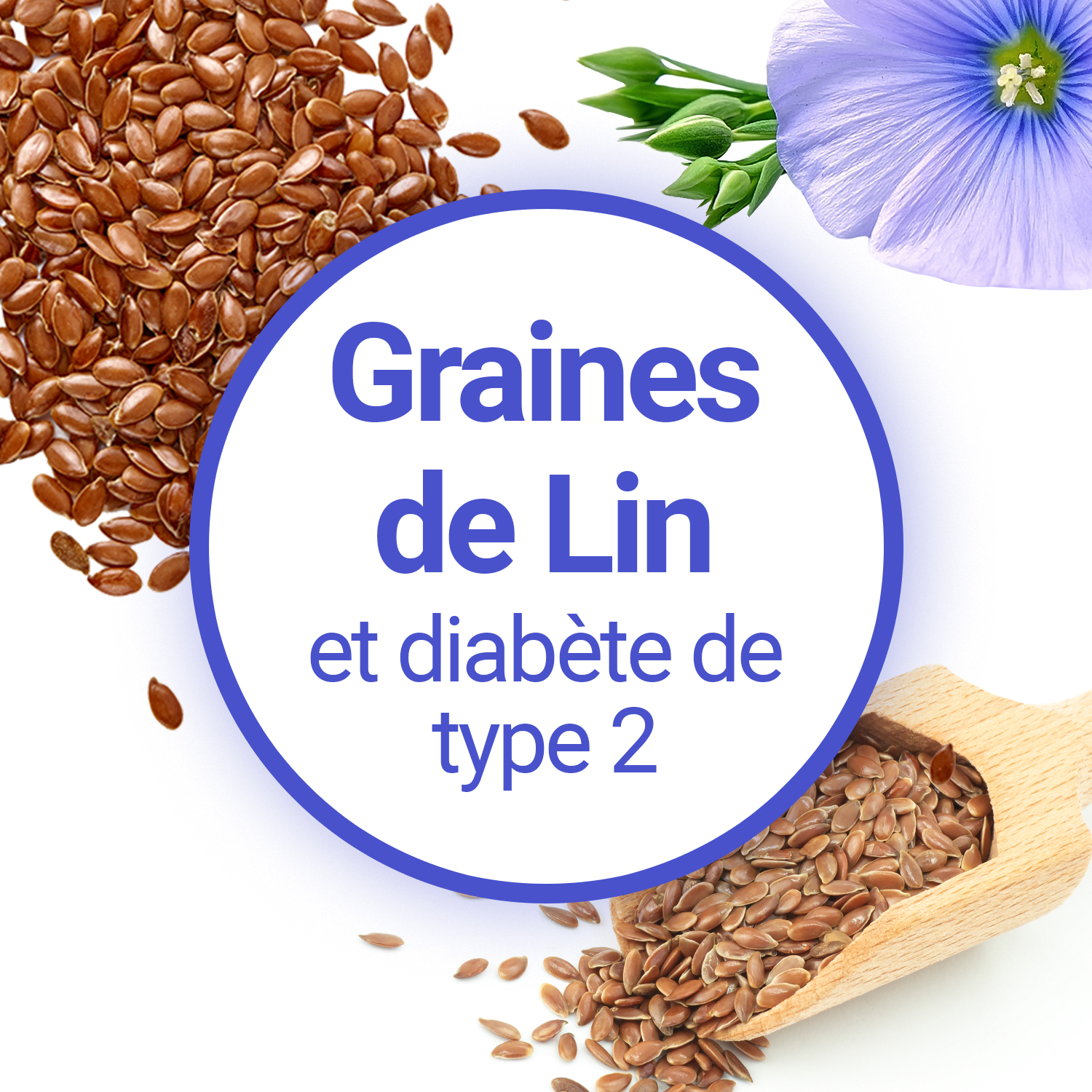 Comment utiliser les graines de lin contre le diabète ? – L'île