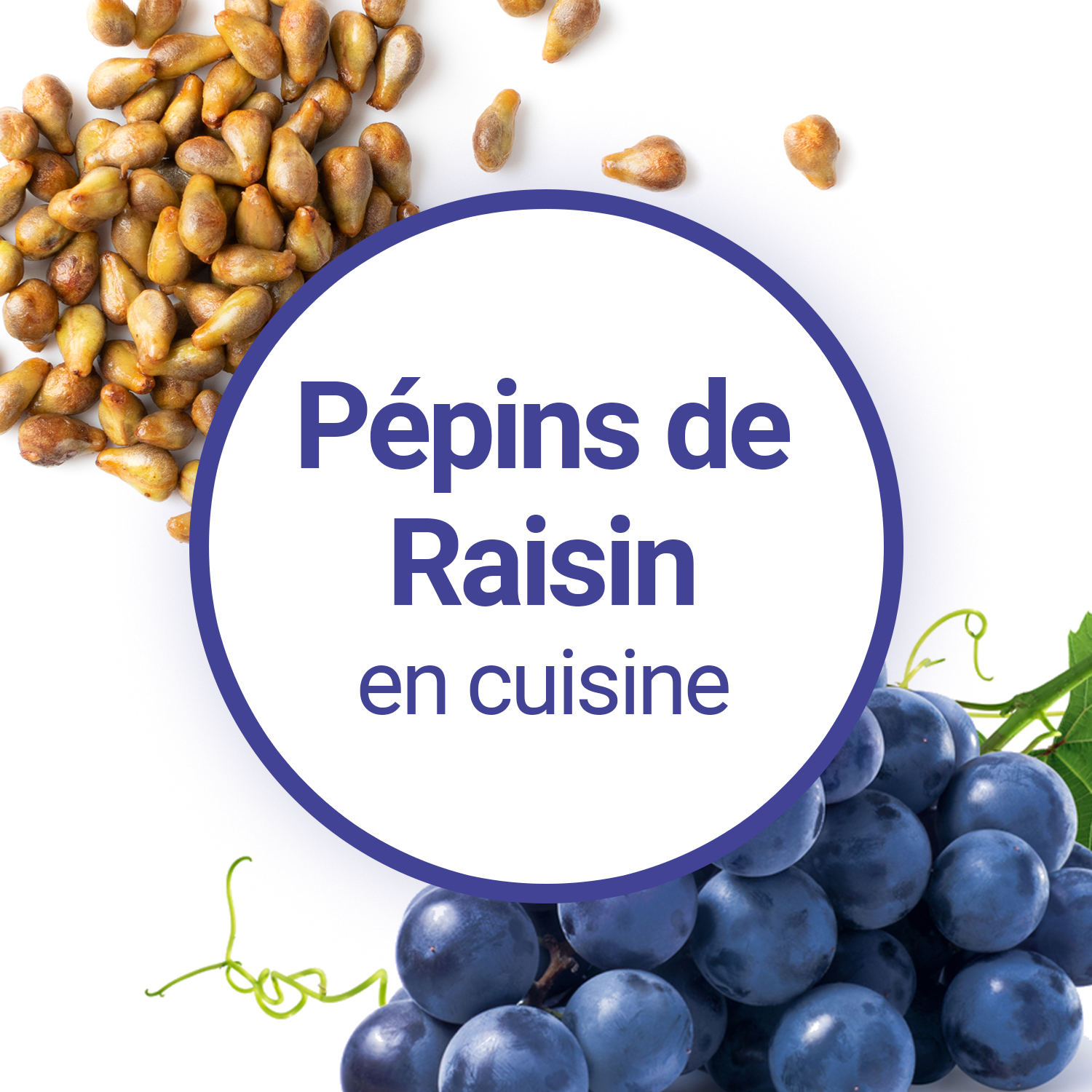 Tout savoir sur l'huile de pépins de raisin, fabrication, bienfaits et  utilisation