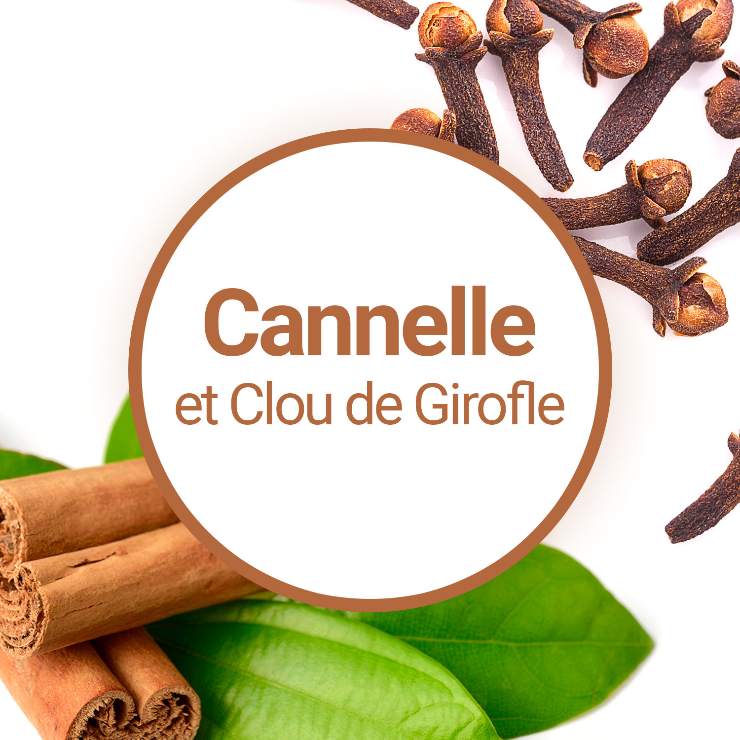 Huile essentielle de clou de girofle : bienfaits, dent, attention au foie !