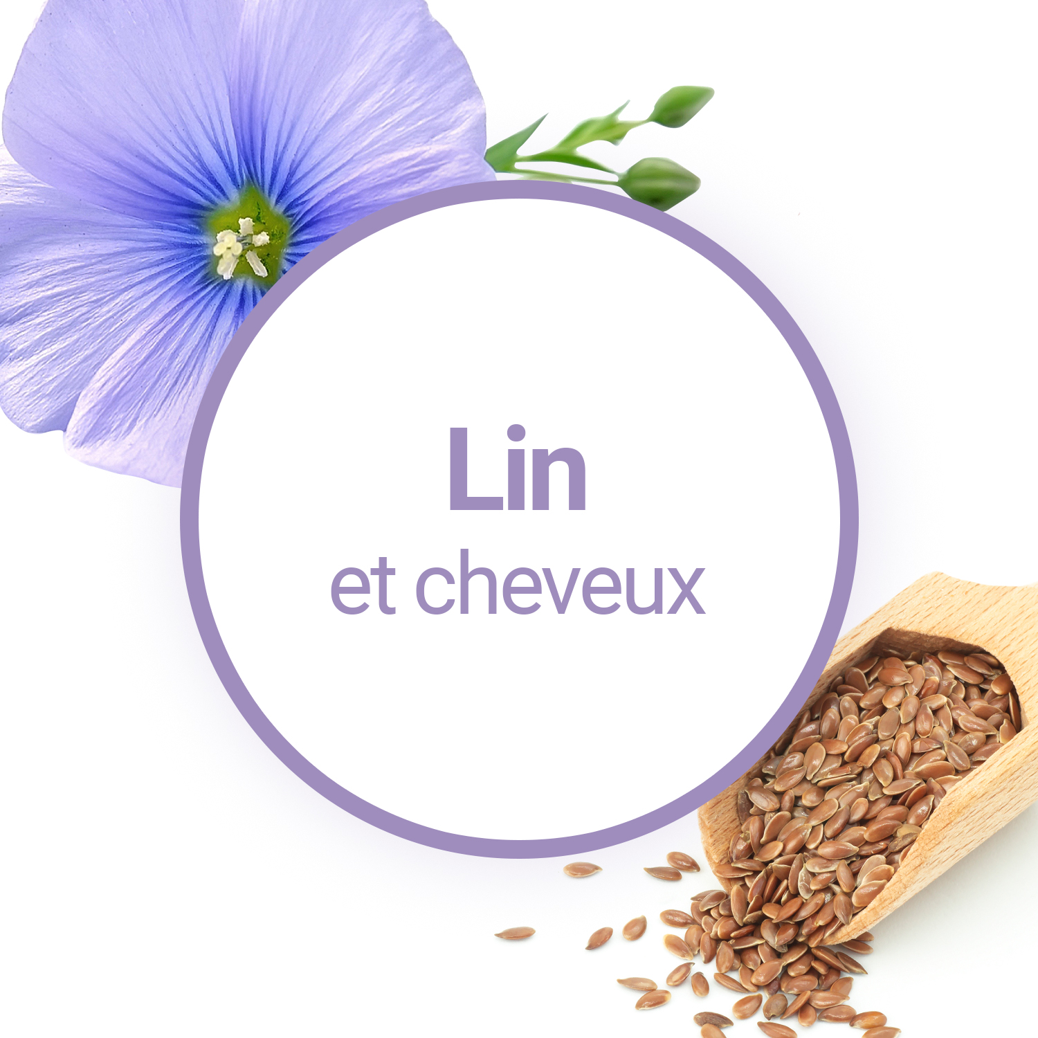 Quels sont les bienfaits de l'huile de Lin sur les cheveux ?