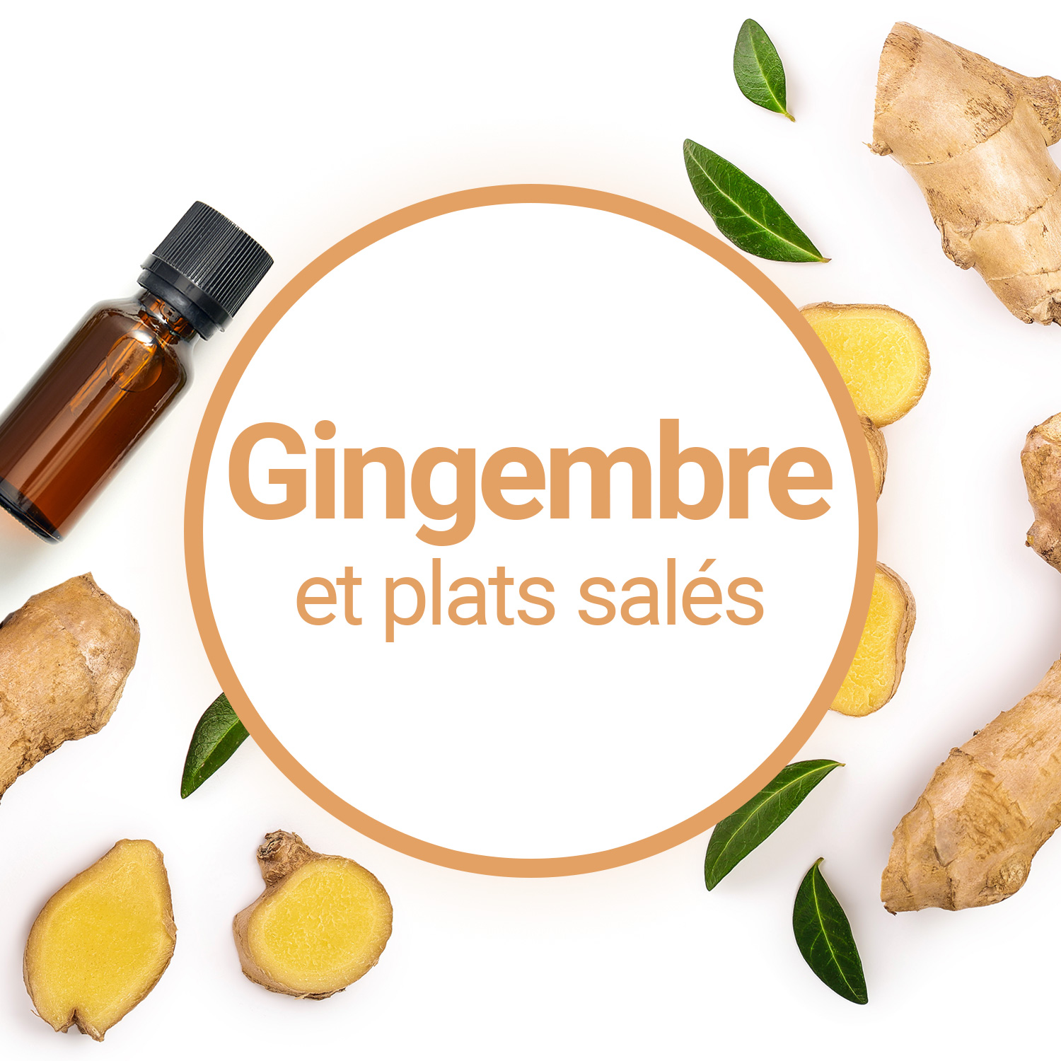 Huile essentielle de gingembre : découvrez toutes ses propriétés !- Plantes  et Santé