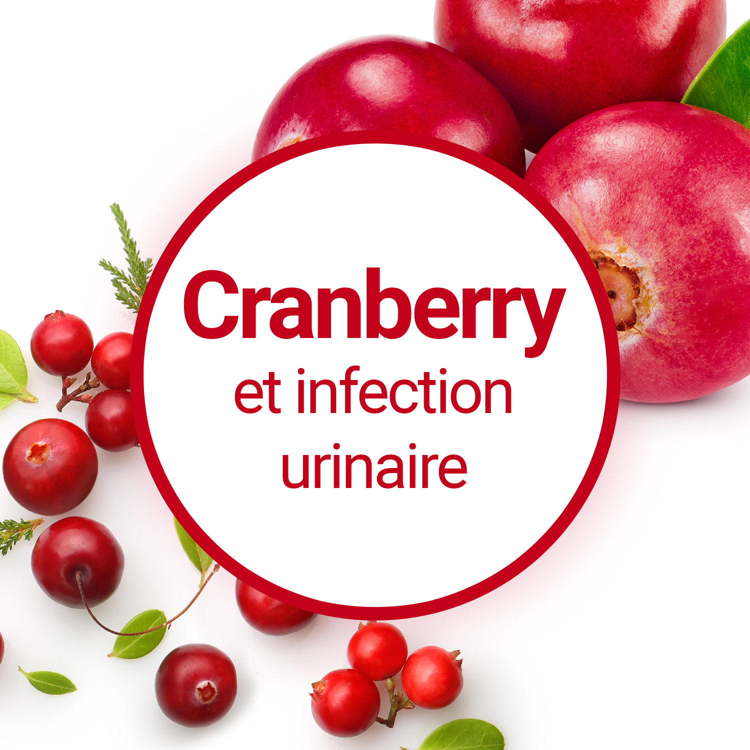 Jus de cranberry : le remède contre les infections urinaires