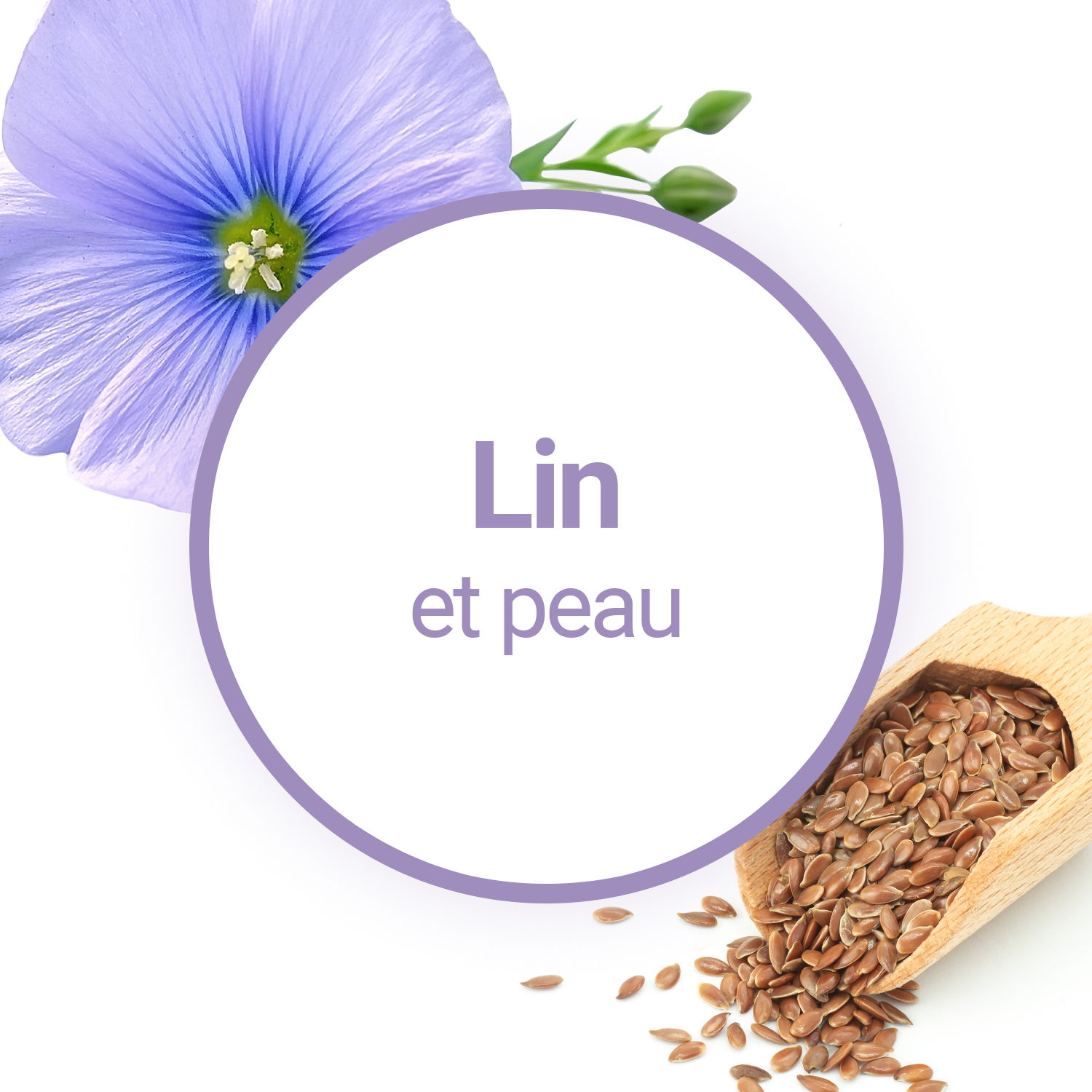 Quels sont les bienfaits de l'huile de lin ?