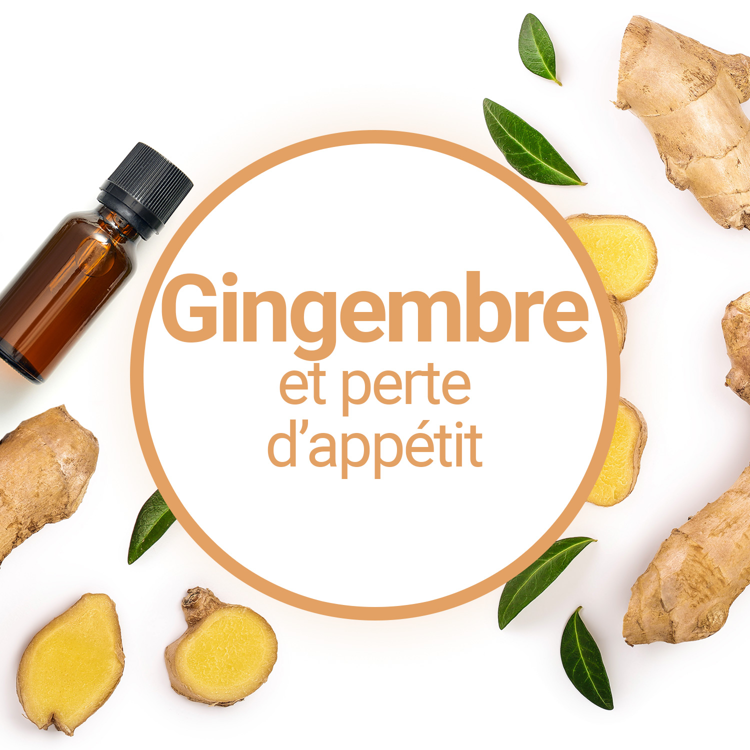 Miel et gingembre le plaisir des sens