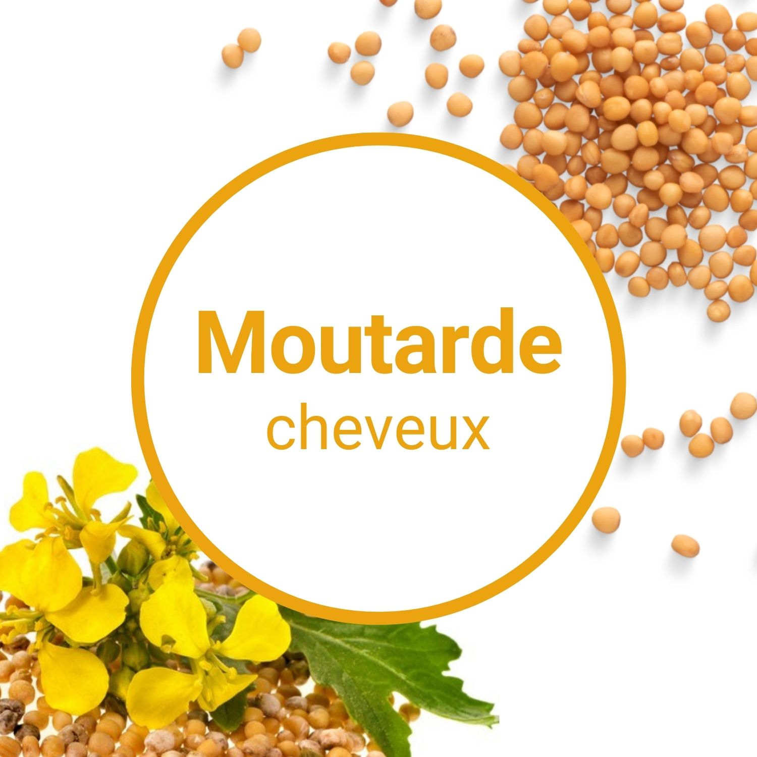 Quels sont les bienfaits de l'huile de Moutarde pour les cheveux ?