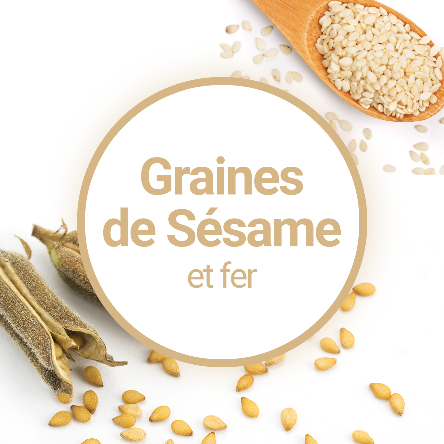 Les graines de sésame - Tout savoir sur les graines de sésame