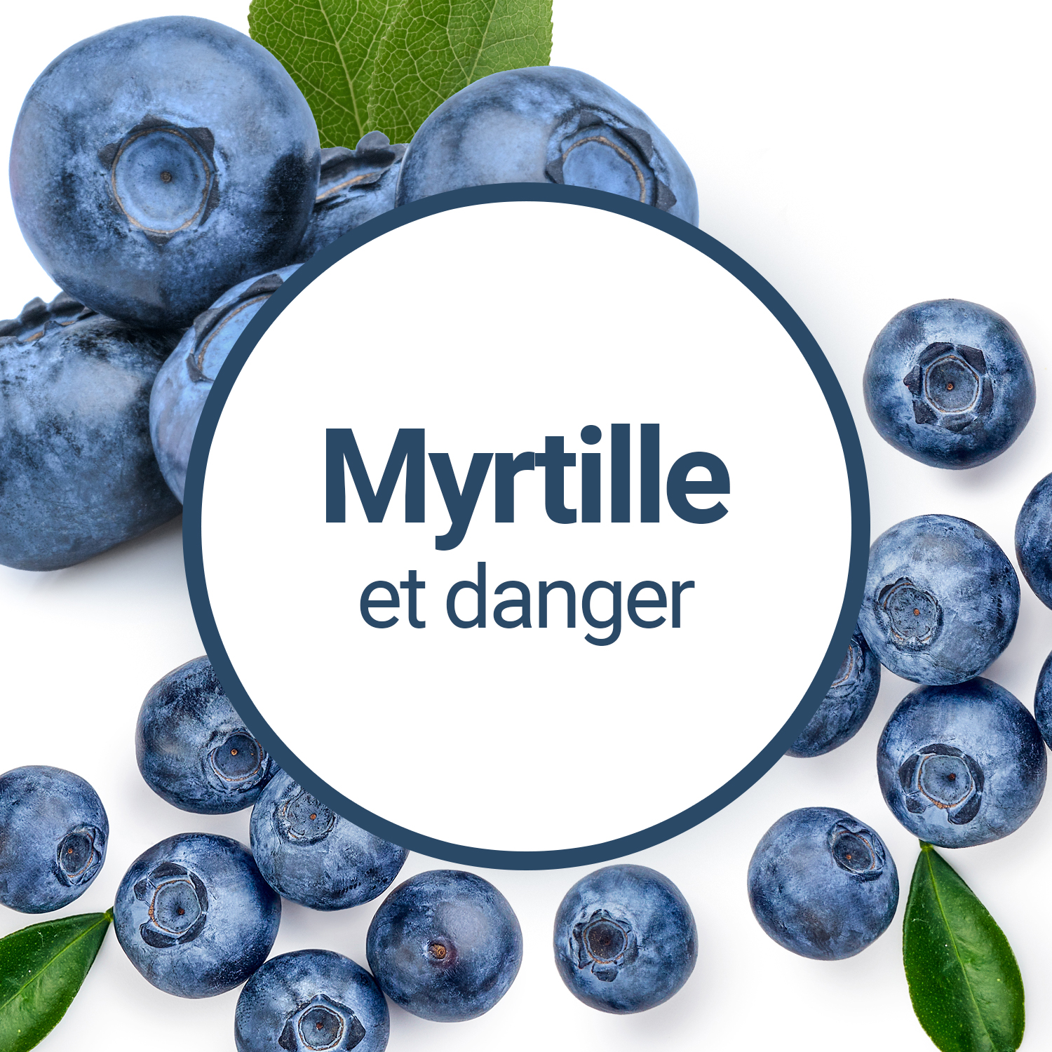 Existe-t-il un danger à consommer des Myrtilles ?