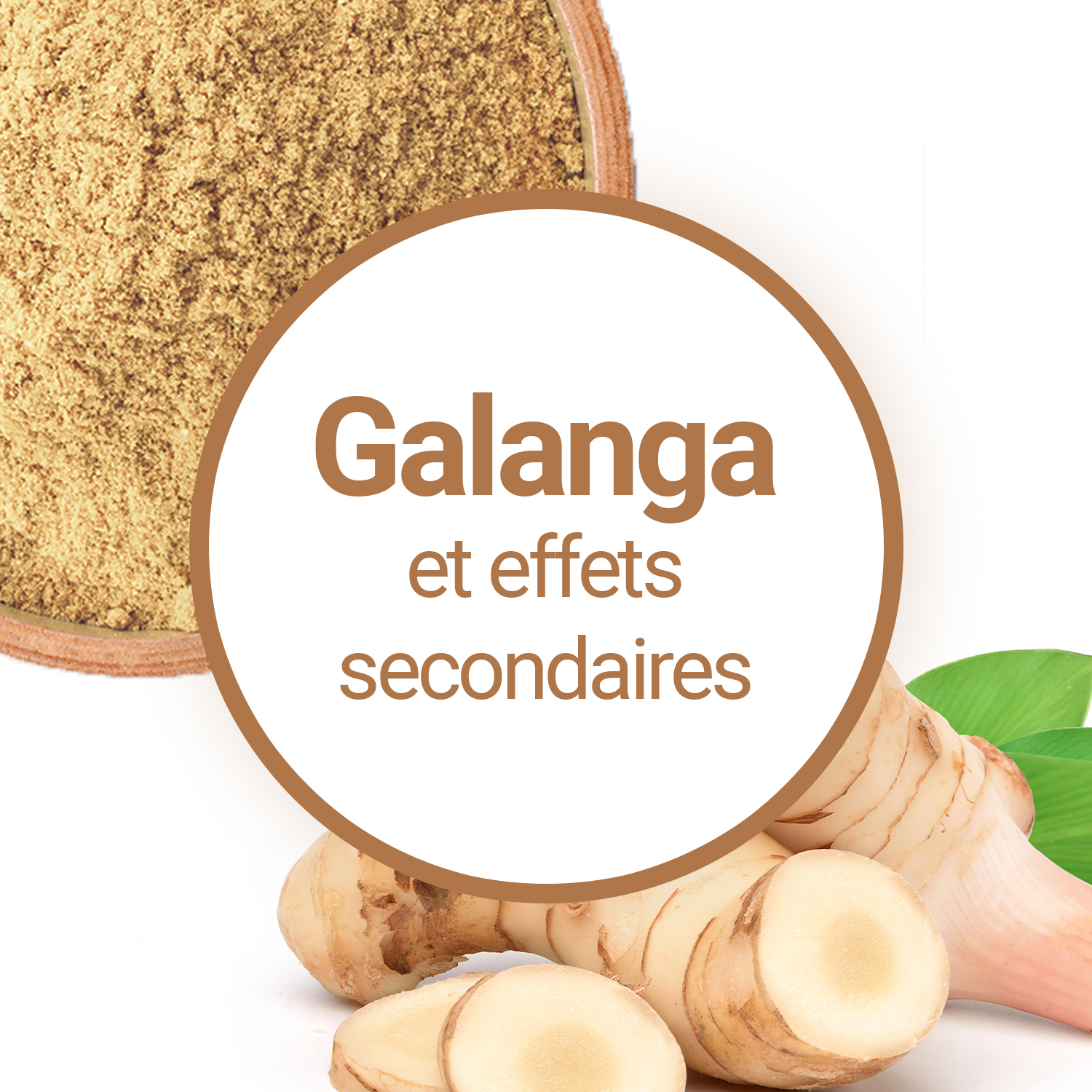 Le Galanga provoque-t-il des effets secondaires ?
