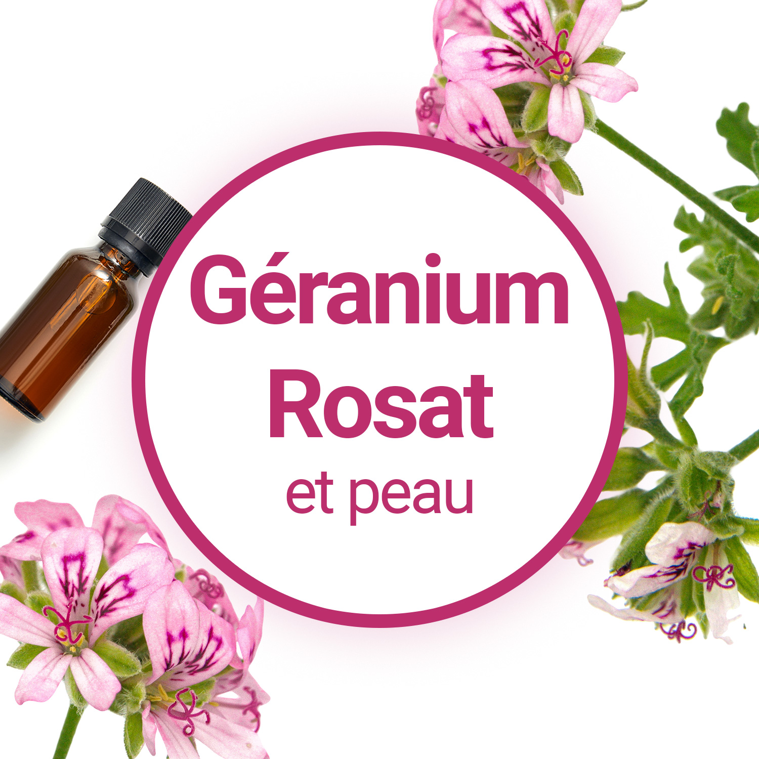 Huile essentielle geranium rosat, composer des soins de la peau