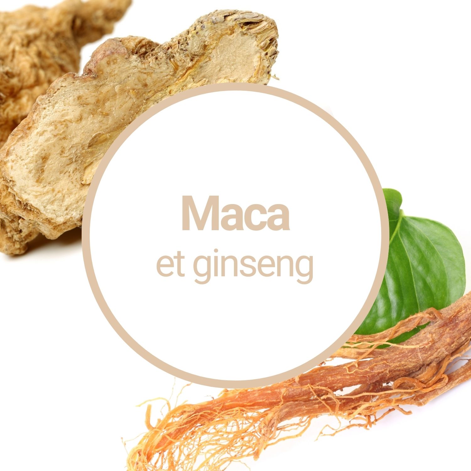 Complément Alimentaire Hommes Endurance Et Performance - Ginseng Et Maca Pour Un Effet Ferme