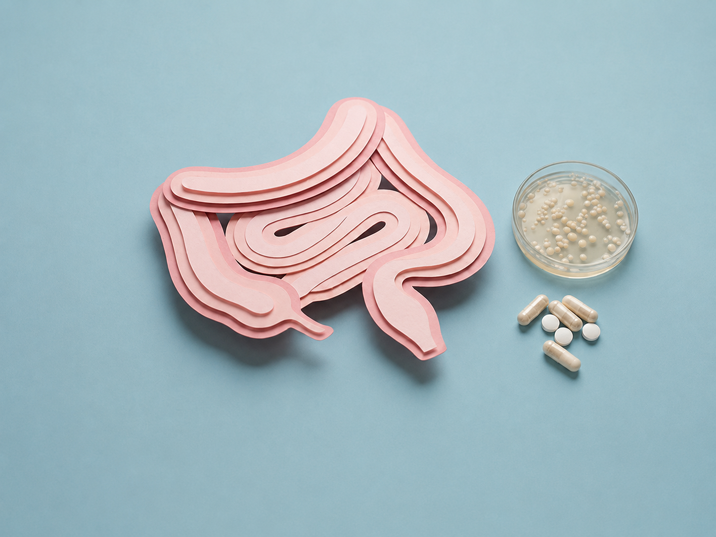 Guide des probiotiques : bienfaits, précautions et usage