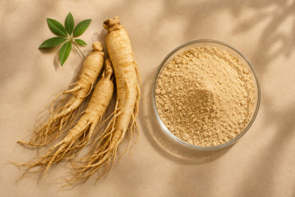 Ginseng et diabète de type 2 : ce que montrent 20 essais cliniques sur la glycémie, les lipides et l'inflammation