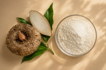 Diabète de type 2 : une méta-analyse évalue l'effet du glucomannane de konjac sur la glycémie et les lipides