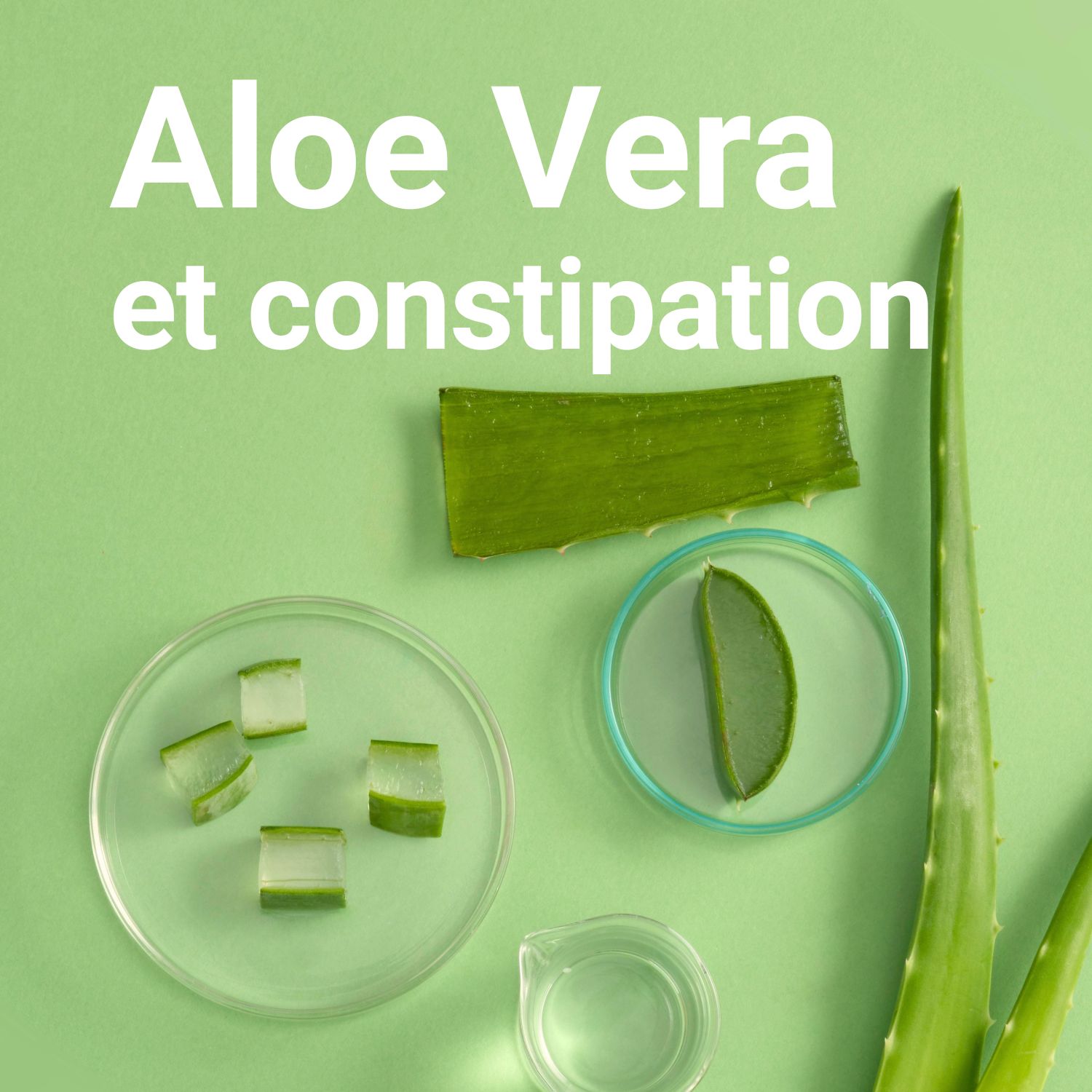 L'Aloe Vera : un laxatif naturel contre la constipation ?