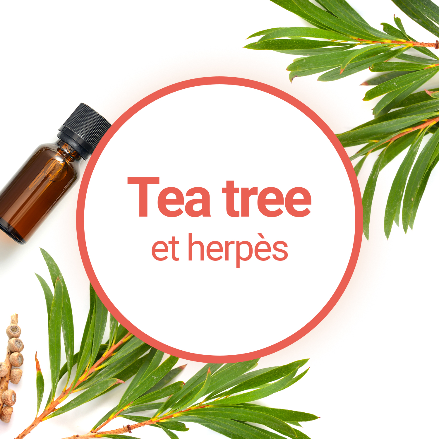 Comment utiliser l'huile essentielle de Tea Tree contre l'herpès ?