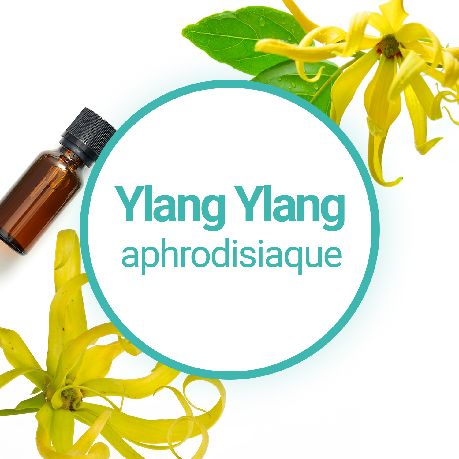 Huile Essentielle d'Ylang Ylang