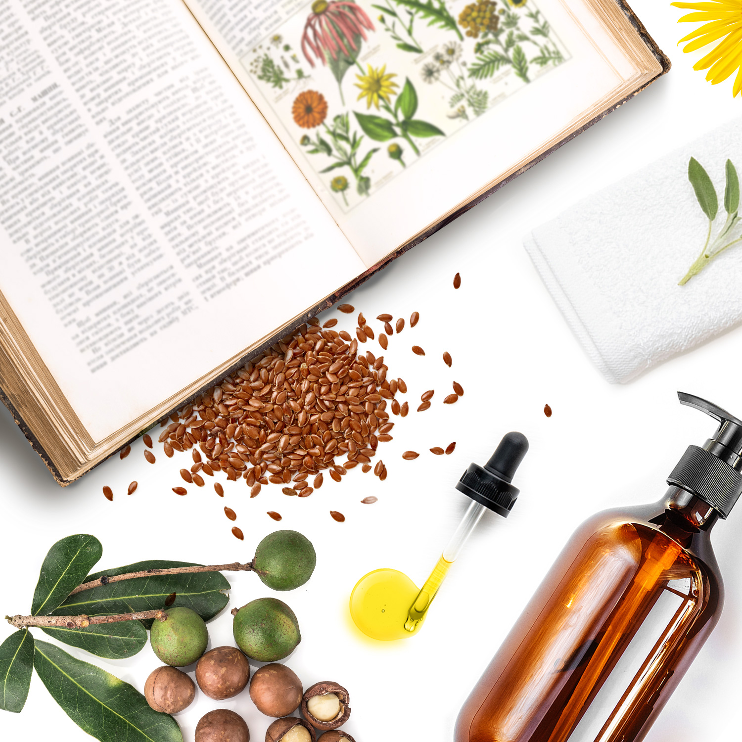 Le Guide des huiles végétales en aromathérapie, cosmétique