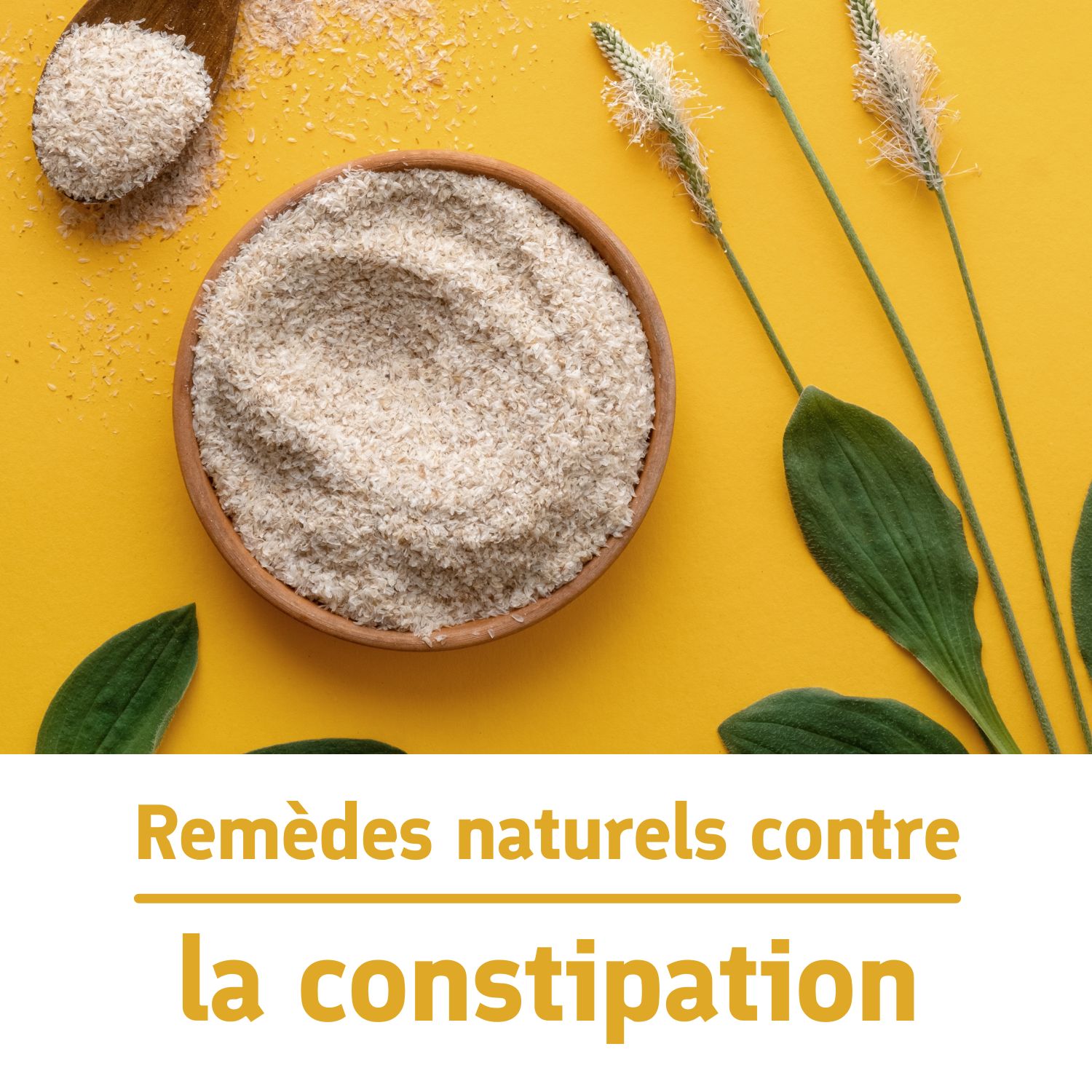 Laxatif Naturel : Les remèdes efficaces et rapides